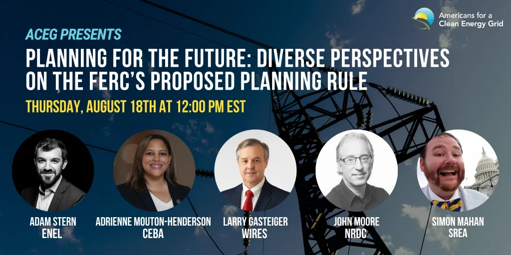 ACEG webinar panel